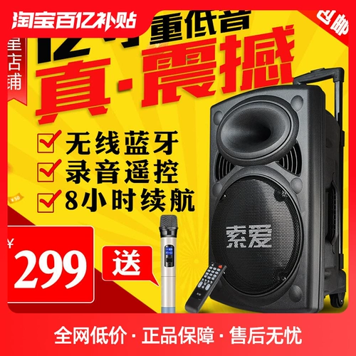 索爱 Уличный портативный чемодан, портативные колонки, беспроводной микрофон, T19, 15, 15 дюймов, высокая мощность, bluetooth