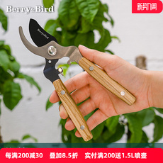 Берри и птица палочки ножницы домой цветы карликовое дерево моделирова