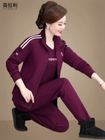 Спортивный костюм, пуховик для отдыха, осенняя куртка для пожилых людей, толстовка, комплект, большой размер, для среднего возраста, 3 предмета