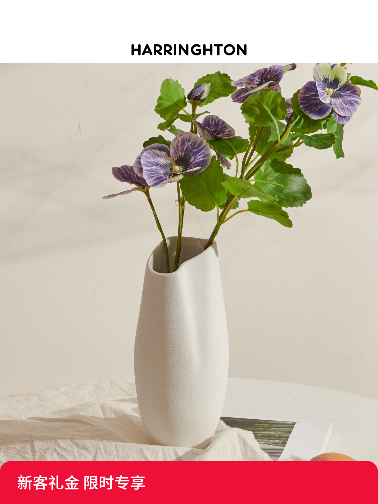 Керамическая ваза He Ling, украшение для дома, простая, легкая, роскошная ваза для цветов, настольная в гостиной, водная цветочная композиция, декоративная бутылка Изображение 1