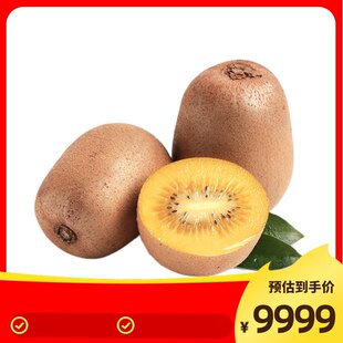 Red Bull vitamin function drink low sugar flavor sports vitamin energy drink selection